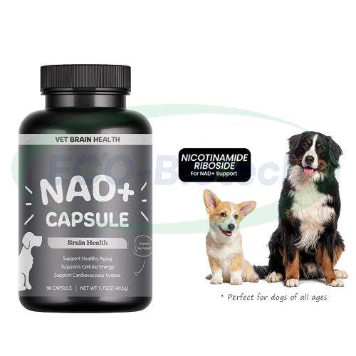 NAD+ Dogs Capsule Pet Health Care Supplements supplier