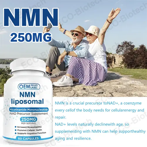 Liposomal NMN Capsules with Trans-Resveratrol | NAD+ Booster | OEM