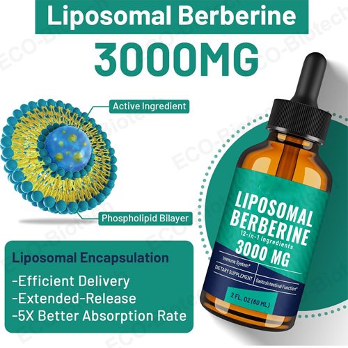 Manufacturer Liposomal Berberine Drops for blood sugar support