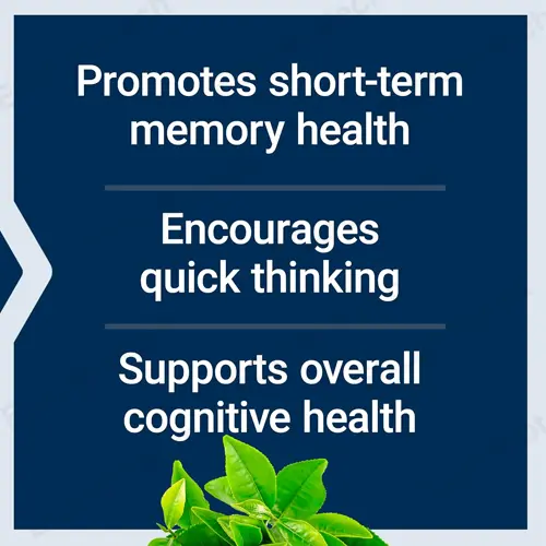 Neuro-Mag Magnesium L-Threonate capsules: Brain Health