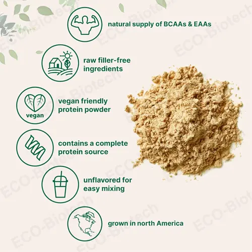 pure pea protein powder for Muscle Growth | Reson