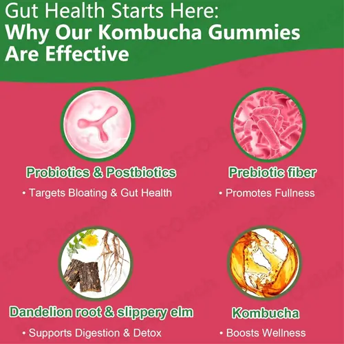 Organic non-GMO kombucha probiotic gummies: digestive support