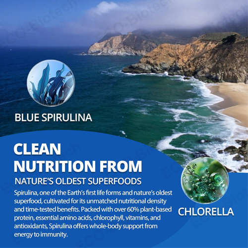 Liposomal Fisetin 200mg Organic Blue Spirulina Gummies supplier