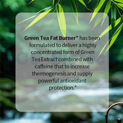 OEM supplier green tea fat burner Softgel capsules