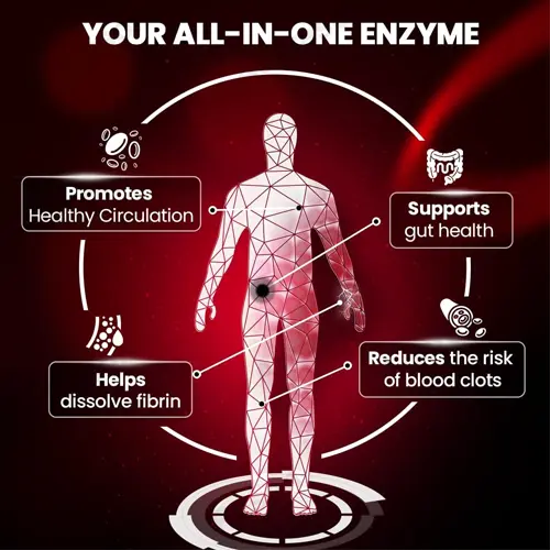 Lumbrokinase Enzymes Capsules for Energy Support, Digestion