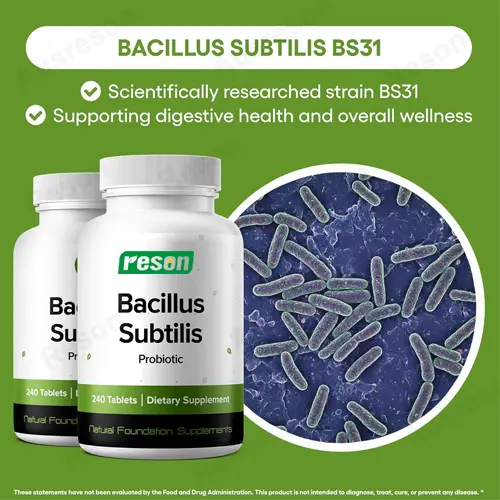 Bacillus Subtilis Probiotics capsules GMP certification