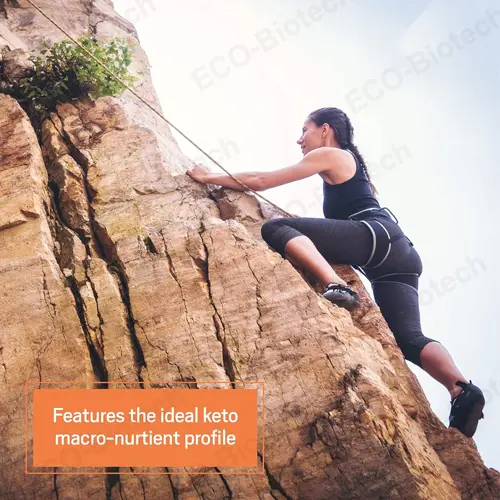 2026 Best Keto Protein Powder with Grass-Fed & MCT