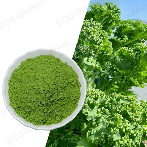 Wholesale pure organic Kale Powder supplement