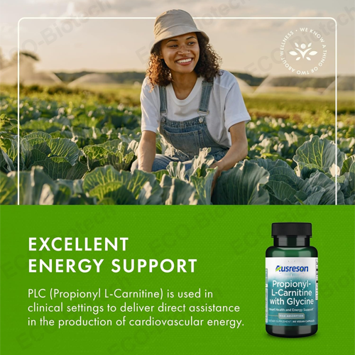 Propionyl L-Carnitine PLCAR capsules | Nitric Oxide & Blood Flow