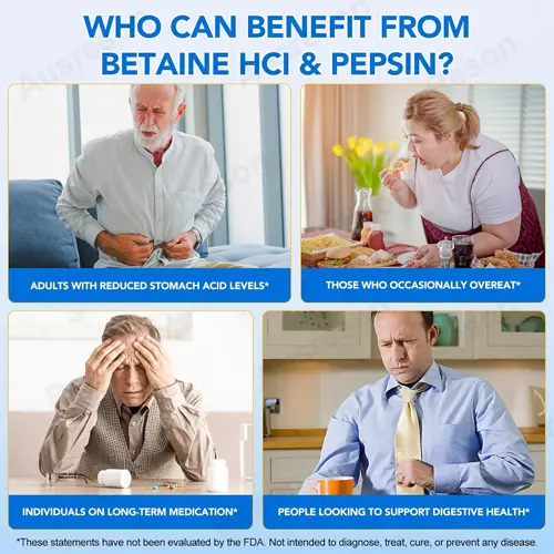 best betaine hcl with pepsin supplement Manufacturer