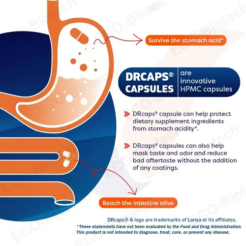 Akkermansia Muciniphila Gut Health capsules with Prebiotic Inulin