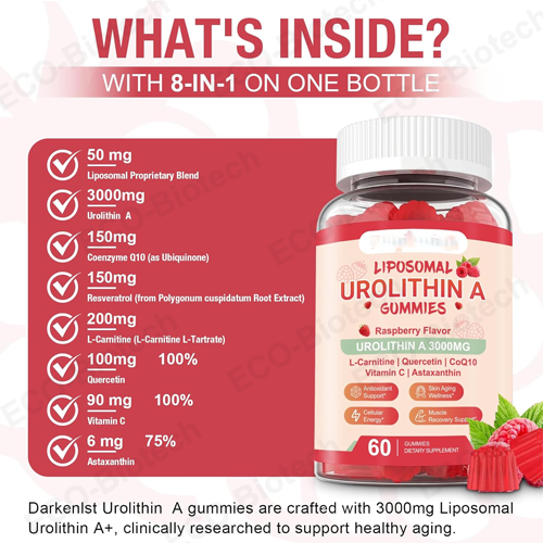 Liposomal Urolithin A Gummies for Cellular Support | Reson