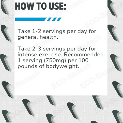 Creatine HCl Capsules Muscle and Energy Support