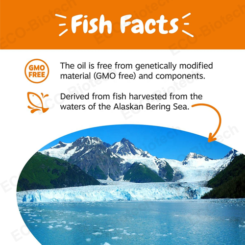 Wild Alaskan Salmon Oil Omega 3 EPA & DHA for Dogs & Cats