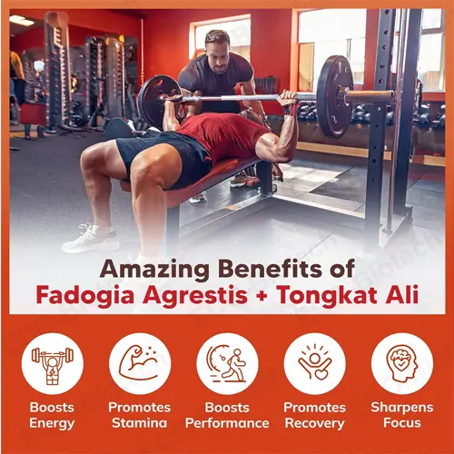Fadogia Agrestis Extract Capsules: Male Vitality and Performance