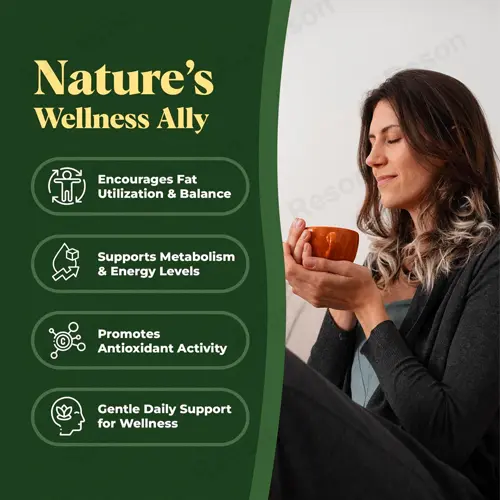 Non-GMO Bitter Orange Liquid Extract GMP certification