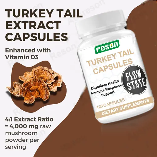 wholesale Turkey Tail capsules for immune support | Reson