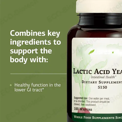 Lactic acid yeast for digestive health & bloating | Reson