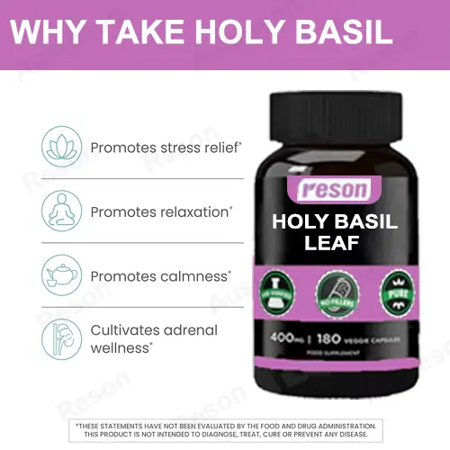 Holy Basil Leaf capsules GMP certified factory | Reson